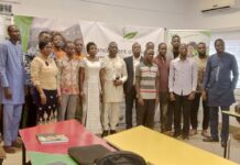 Appel à Candidatures : Programme de bourses de l’Organisation Internationale des Bois Tropicaux (OIBT) Appel à Candidatures : Programme de bourses de l'Organisation Internationale des Bois Tropicaux (OIBT)