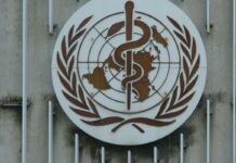 Virus Ebola : l’OMS lance l’alerte sanitaire internationale Virus Ebola : l'OMS lance l'alerte sanitaire internationale