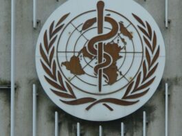 Virus Ebola : l’OMS lance l’alerte sanitaire internationale Virus Ebola : l'OMS lance l'alerte sanitaire internationale