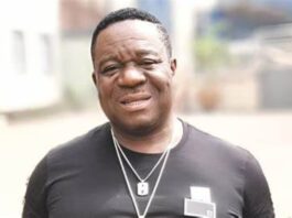 Mr Ibu