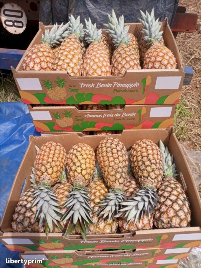 Des ananas du Bénin retirés de la vente en France Des ananas du Bénin retirés de la vente en France