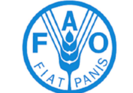 AVIS DE RECRUTEMENT AU BUREAU DE LA FAO (11 mai 2026)