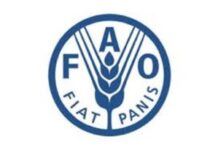 NOUVEAUX POSTES A POURVOIR AU BUREAU DE LA FAO (28 mai 2026) NOUVEAUX POSTES A POURVOIR AU BUREAU DE LA FAO (28 mai 2026)