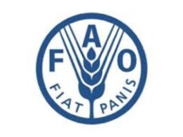 NOUVEAUX POSTES A POURVOIR AU BUREAU DE LA FAO (28 mai 2026)
