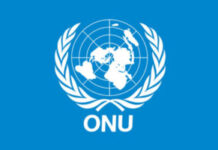 10 offres de Volontaires des Nations Unies ouvertes au Bénin-31 juillet 2026 10 offres de Volontaires des Nations Unies ouvertes au Bénin-31 juillet 2026