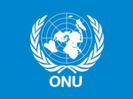 10 offres de Volontaires des Nations Unies ouvertes au Bénin-31 juillet 2026 10 offres de Volontaires des Nations Unies ouvertes au Bénin-31 juillet 2026