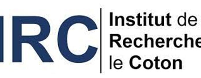 13 Postes à pourvoir à l'Institut de Recherche sur le Coton (IRC) - Bénin (08 Juillet 2025)