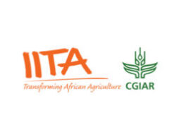 OFFRES d'EMPLOIS AU CENTRE IITA : POSTULEZ avec le BAC (20 janvier 2026)