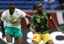 CAN 2025/Élimination du Mali : un marabout activement recherché par les autorités ; les raisons (vidéo) CAN 2025/Élimination du Mali : un marabout activement recherché par les autorités ; les raisons (vidéo)