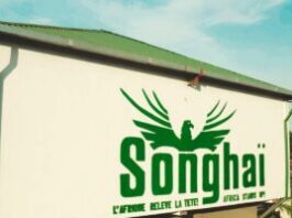 Appel à candidatures au Centre Songhaï : postulez (22 janvier 2026)