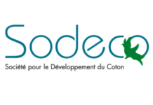 CANDIDATURES POUR DEUX POSTES A LA SODECO (17 Juin 2026) CANDIDATURES POUR DEUX POSTES A LA SODECO (17 Juin 2026)