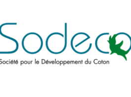 CANDIDATURES POUR DEUX POSTES A LA SODECO (17 Juin 2026)