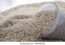 Bénin : une procédure de destruction de riz au cœur de graves soupçons de corruption Bénin : une procédure de destruction de riz au cœur de graves soupçons de corruption