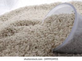 Bénin : une procédure de destruction de riz au cœur de graves soupçons de corruption Bénin : une procédure de destruction de riz au cœur de graves soupçons de corruption