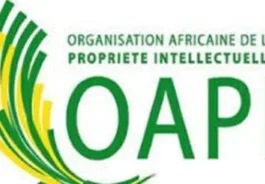 L’OAPI – Organisation Africaine de la Propriété Intellectuelle recrute – 21 septembre 2026) L’OAPI – Organisation Africaine de la Propriété Intellectuelle recrute - 21 septembre 2026)