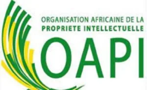 L’OAPI – Organisation Africaine de la Propriété Intellectuelle recrute - 21 septembre 2026) L’OAPI – Organisation Africaine de la Propriété Intellectuelle recrute - 21 septembre 2026)